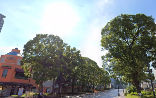緑が織りなす圧巻の風景☆パルテノン大通り！