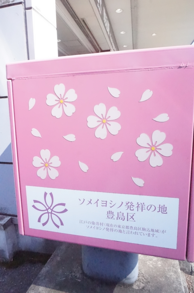 【駒込】知らなかった！みんな大好きソメイヨシノ、発祥の地！！