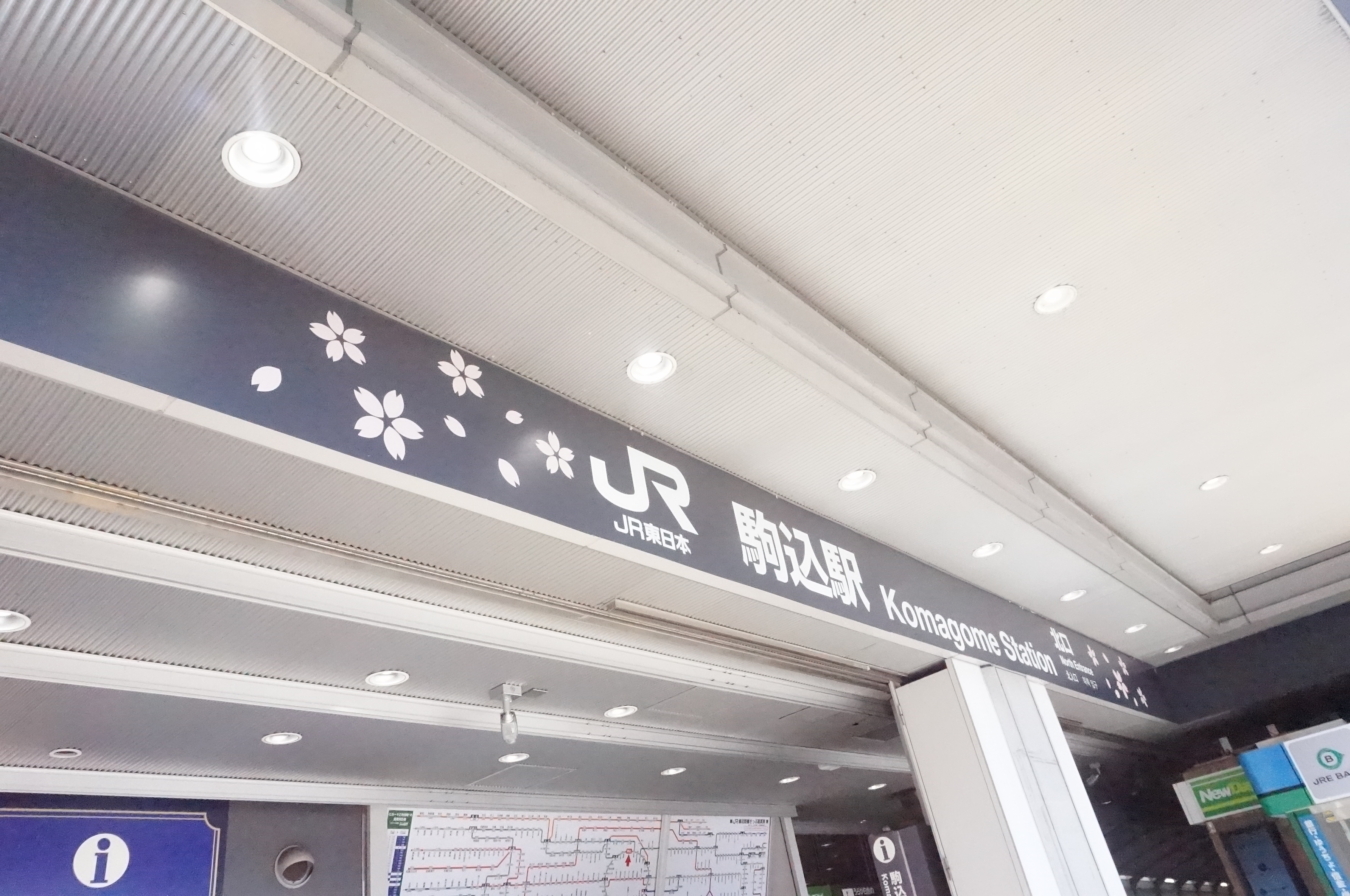【駒込】知らなかった！みんな大好きソメイヨシノ、発祥の地！！