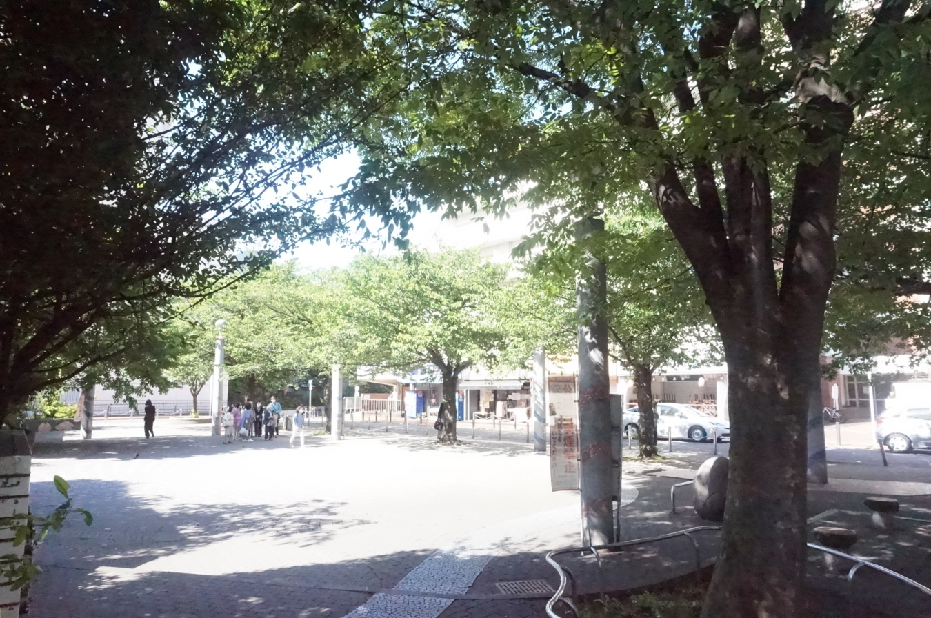 【駒込】知らなかった！みんな大好きソメイヨシノ、発祥の地！！