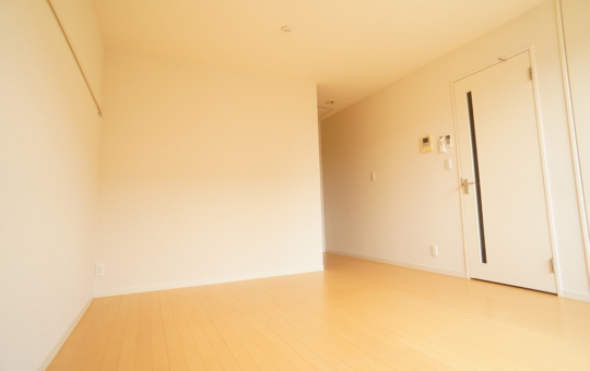 人気の積水ハウス☆広々8.6帖１Kのお部屋（リヴィエール）