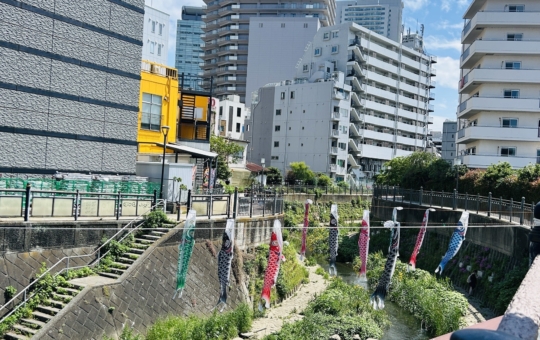 新緑の大岡川
