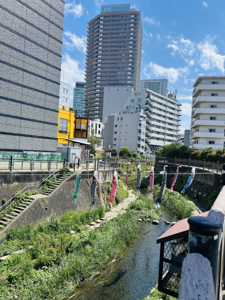 新緑の大岡川