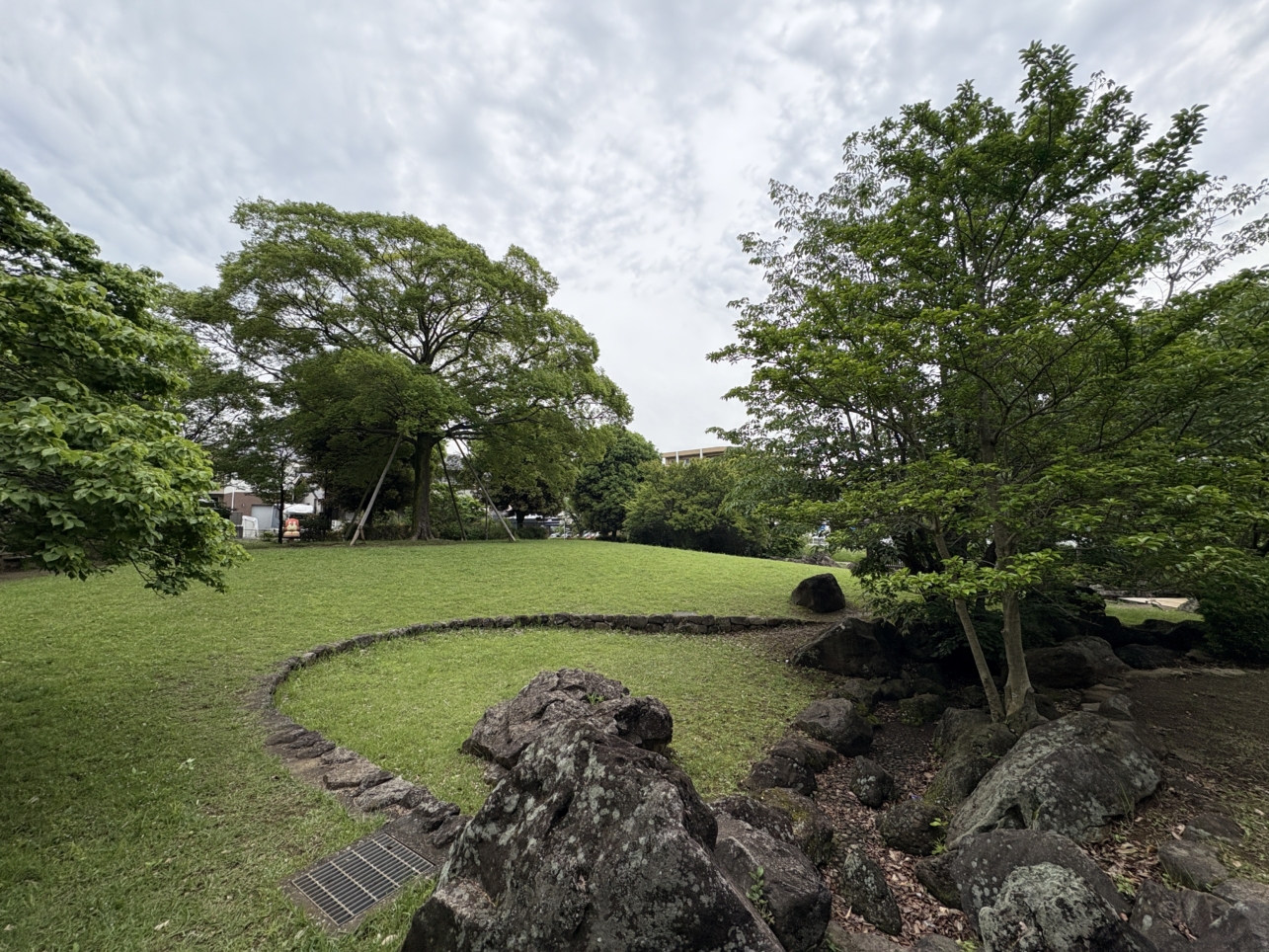 丘の上の大木が目印！松木えのき公園♪