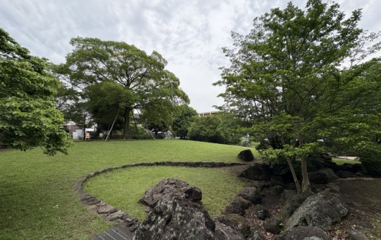 丘の上の大木が目印！松木えのき公園♪