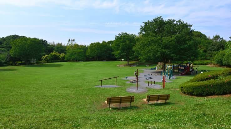 「王禅寺ふるさと公園」で自然と遊ぼう！川崎の穴場リフレッシュスポット