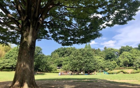 「王禅寺ふるさと公園」で自然と遊ぼう！川崎の穴場リフレッシュスポット