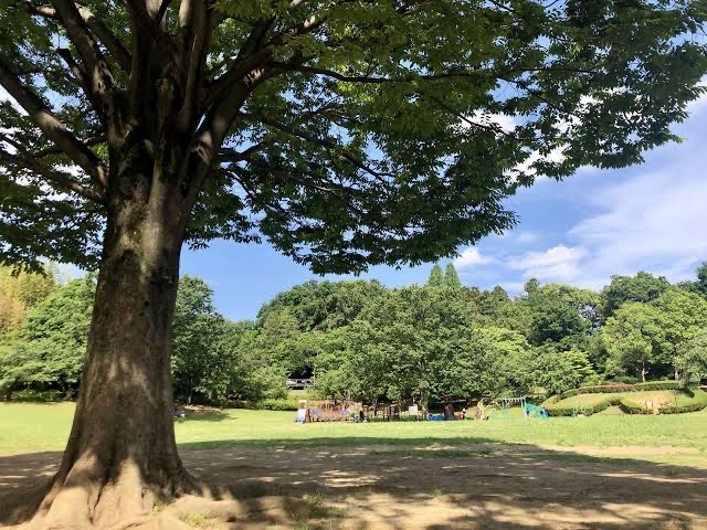 「王禅寺ふるさと公園」で自然と遊ぼう！川崎の穴場リフレッシュスポット