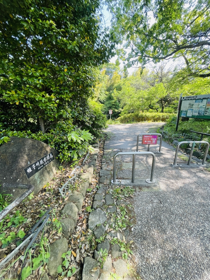 【旭区】帷子川親水緑道