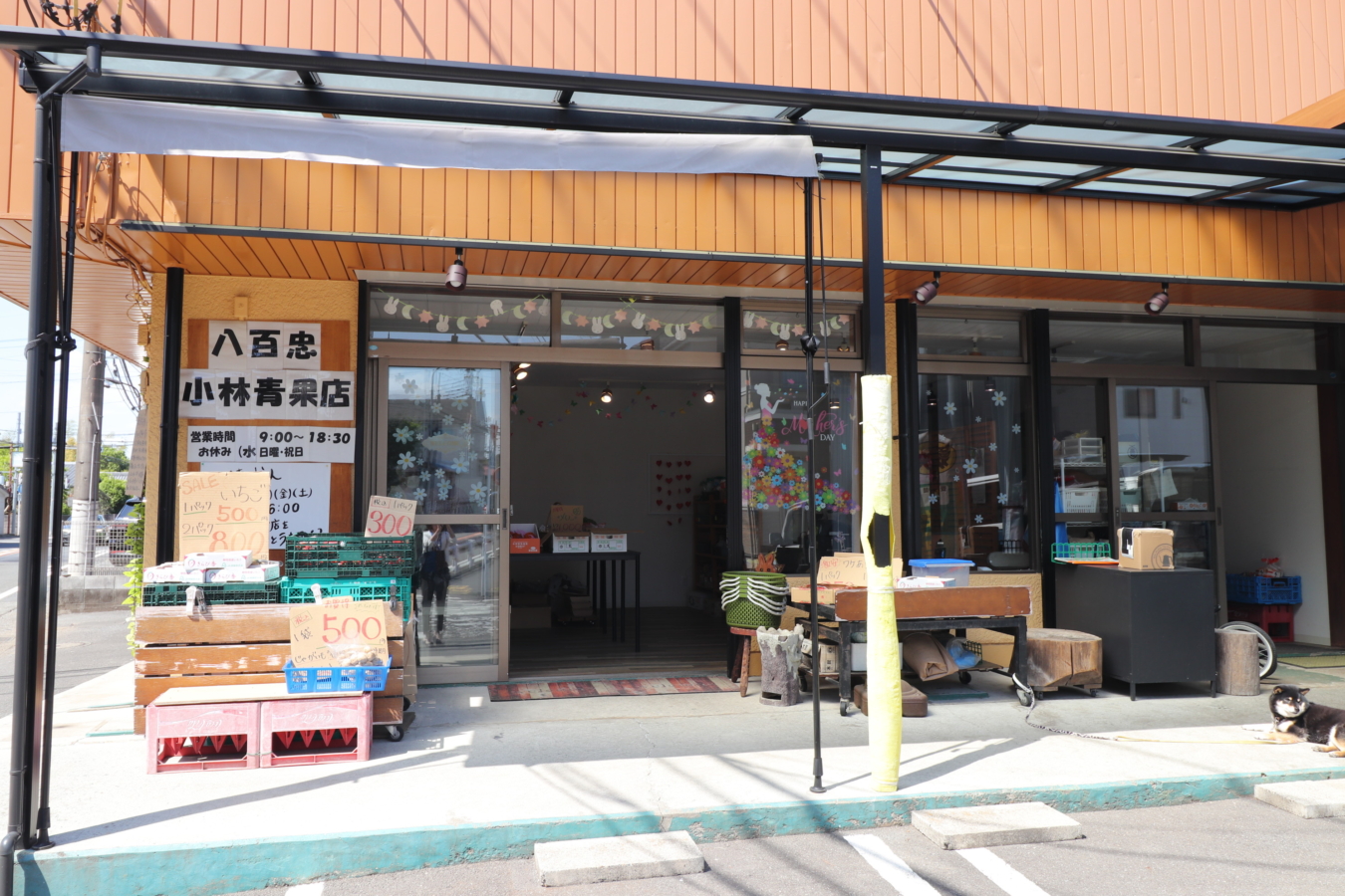 地元で愛される八百屋さん【八百忠　小林青果店】