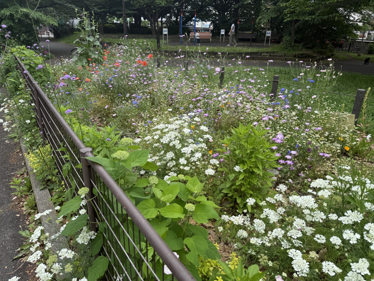 この街の日常に、ちょっと特別な自然を。【都立祖師谷公園】