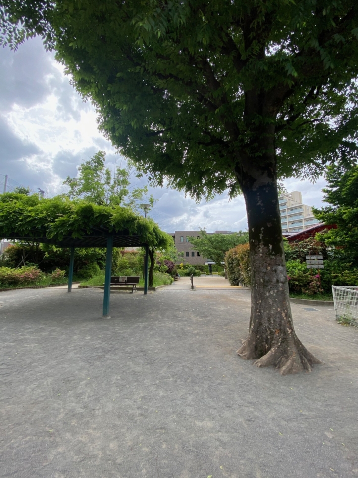 【桜山公園】キャッチボール専用エリアあり！安全にボール遊びが楽しめます！