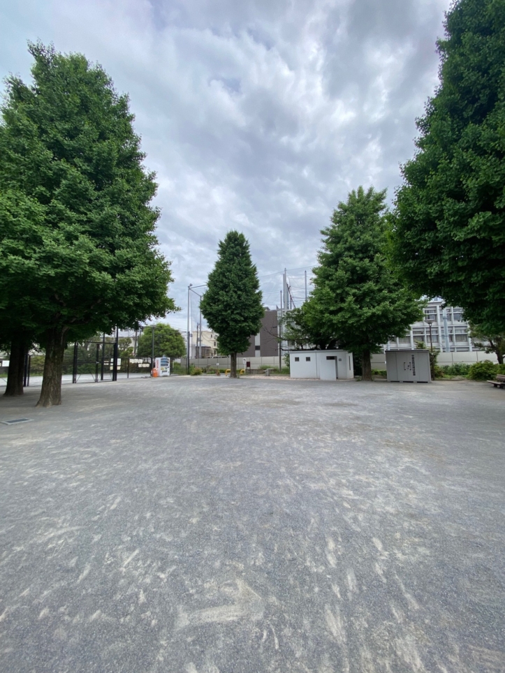 【桜山公園】キャッチボール専用エリアあり！安全にボール遊びが楽しめます！