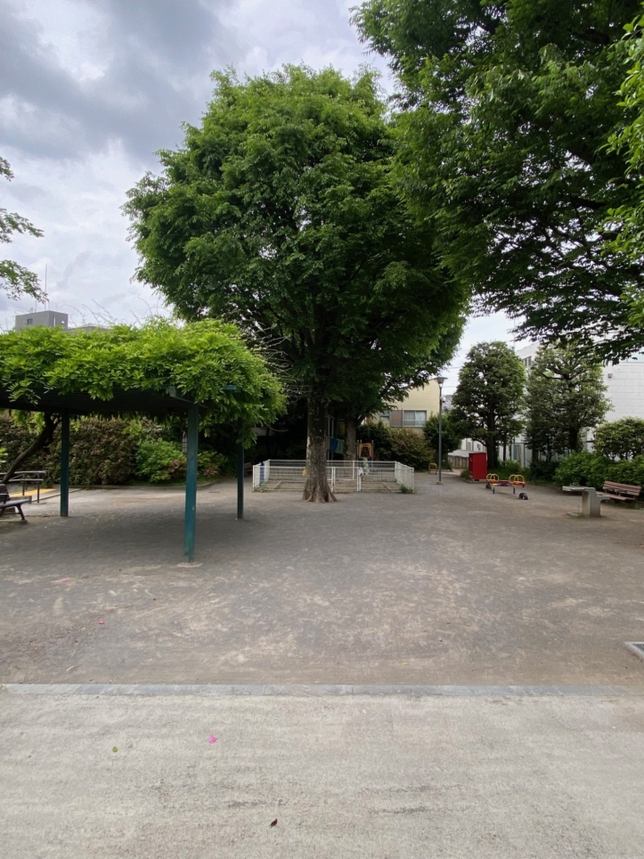 【桜山公園】キャッチボール専用エリアあり！安全にボール遊びが楽しめます！