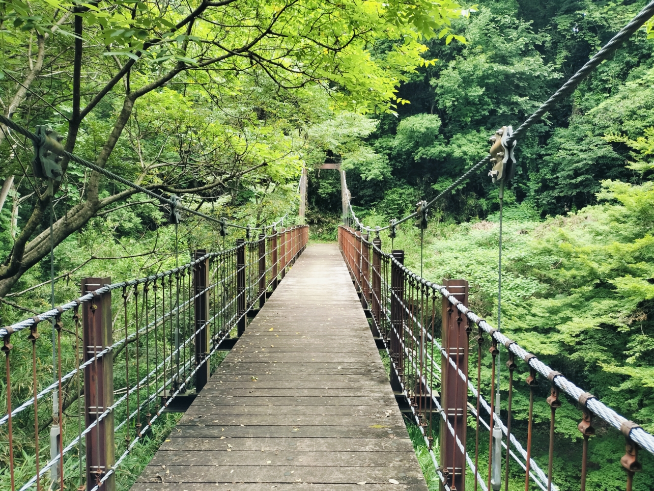 吊り橋のある公園【蓮生寺公園】