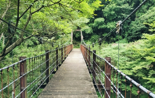 吊り橋のある公園【蓮生寺公園】