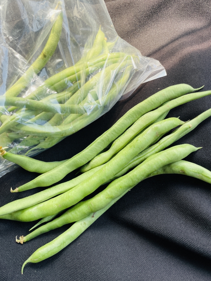 【瀬谷区】野菜の無人販売所