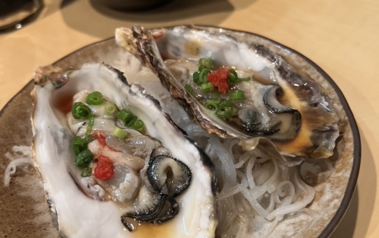 レトロな雰囲気の居酒屋‼　【勝手台所ようじろう】