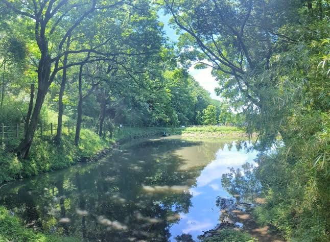 静けさと緑に包まれて ― 早野聖地公園を歩く