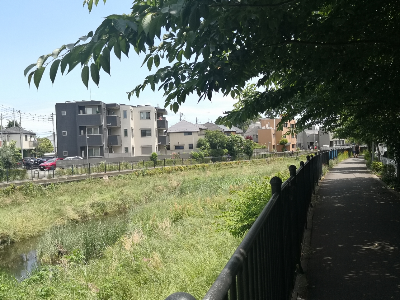 自然の中、お散歩やバーベキュー♪♪野川