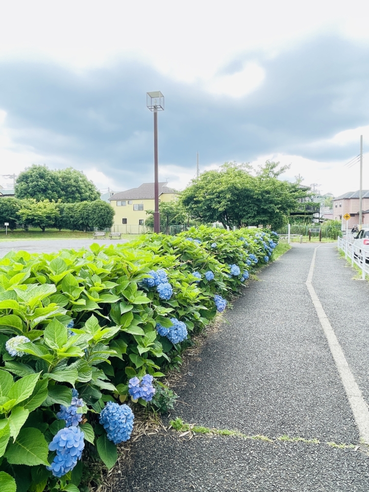 【旭区】 椚谷公園　くぬぎとこうえん