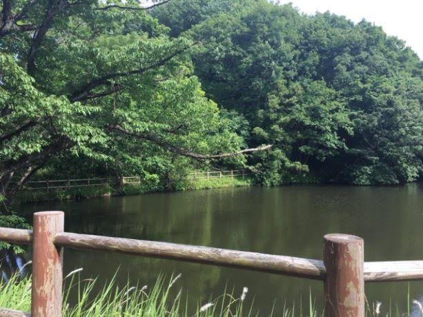 静けさと緑に包まれて ― 早野聖地公園を歩く