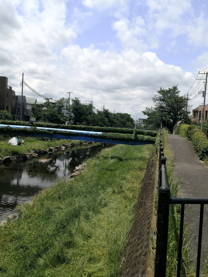 自然の中、お散歩やバーベキュー♪♪野川
