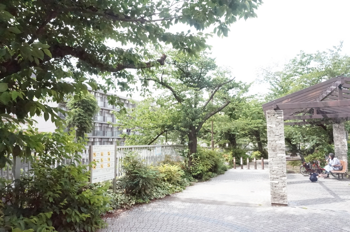 【東中野】川沿いをお散歩♪ソメイヨシノも水遊びも楽しめる公園☆神田上水公園☆