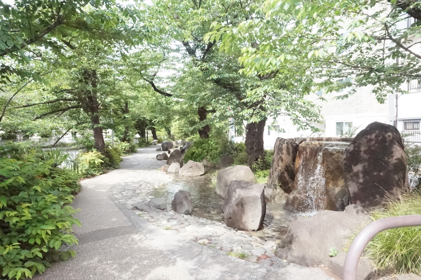 【東中野】川沿いをお散歩♪ソメイヨシノも水遊びも楽しめる公園☆神田上水公園☆