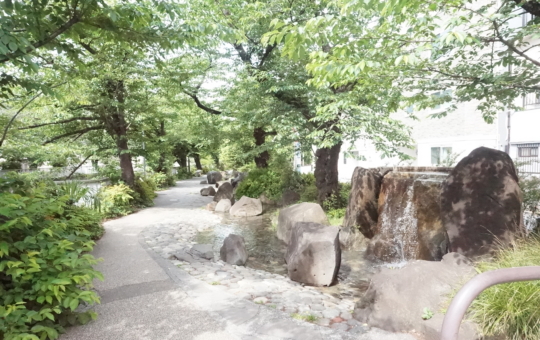 【東中野】川沿いをお散歩♪ソメイヨシノも水遊びも楽しめる公園☆神田上水公園☆