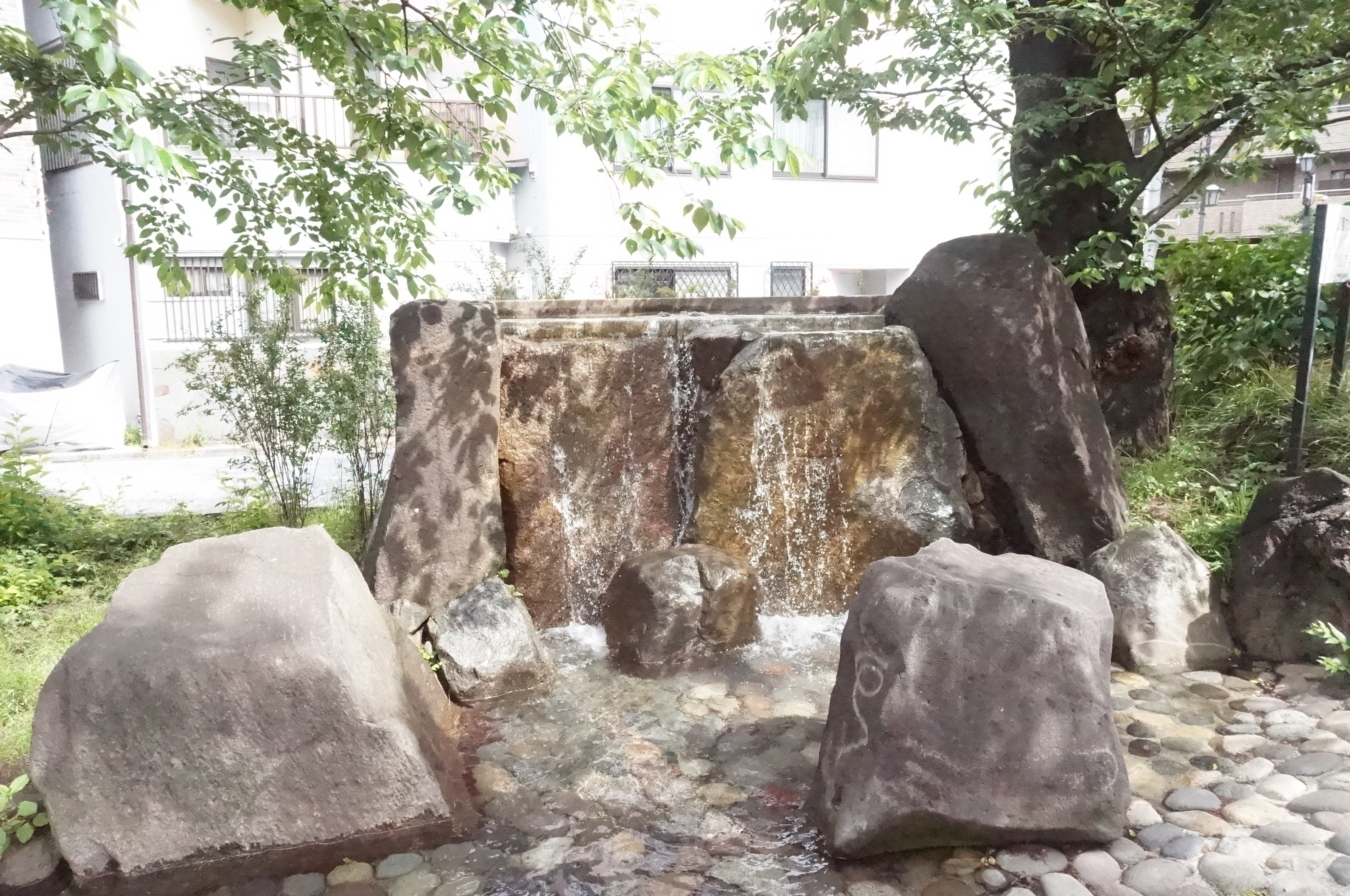 【東中野】川沿いをお散歩♪ソメイヨシノも水遊びも楽しめる公園☆神田上水公園☆