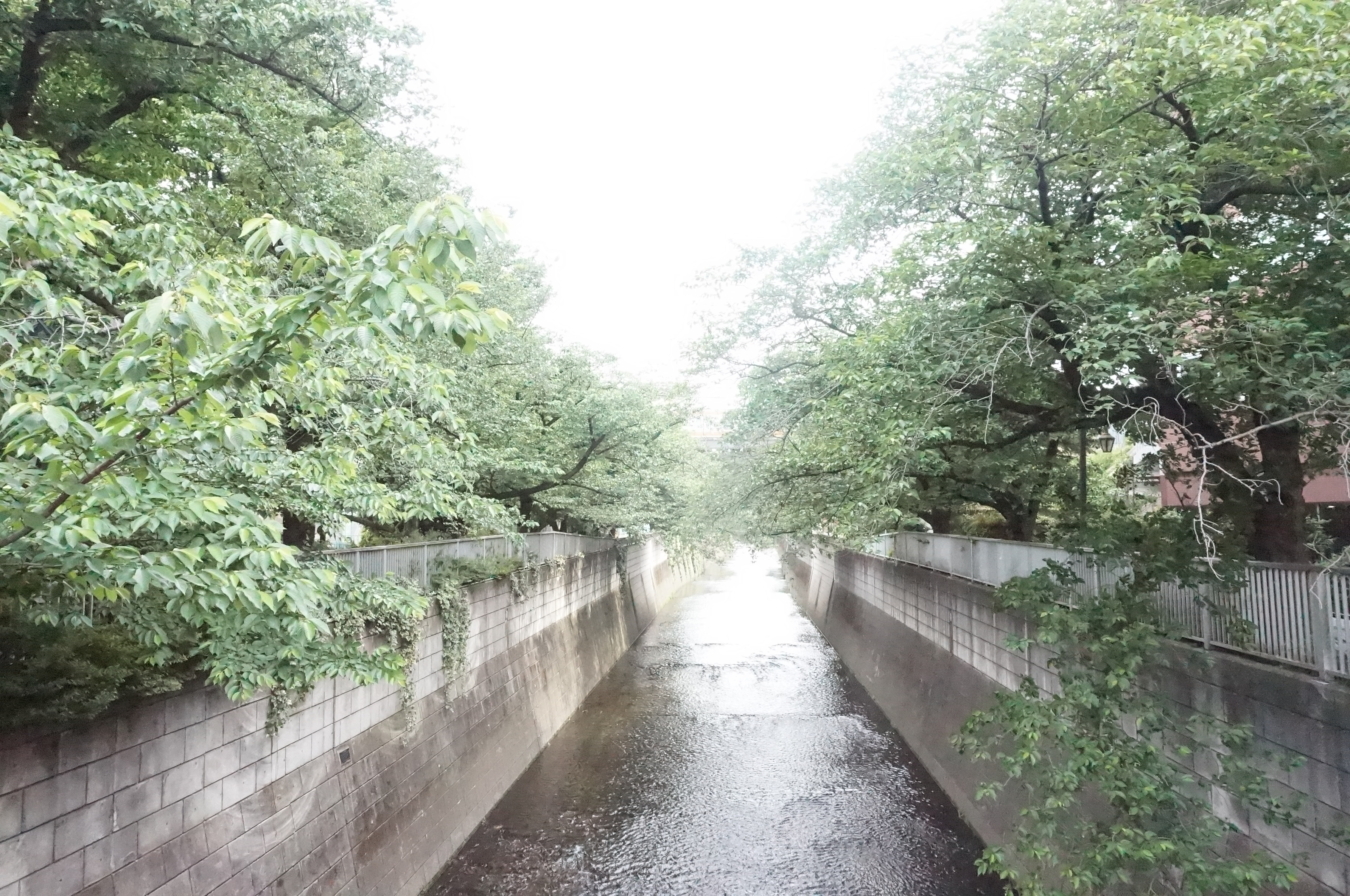 【東中野】川沿いをお散歩♪ソメイヨシノも水遊びも楽しめる公園☆神田上水公園☆