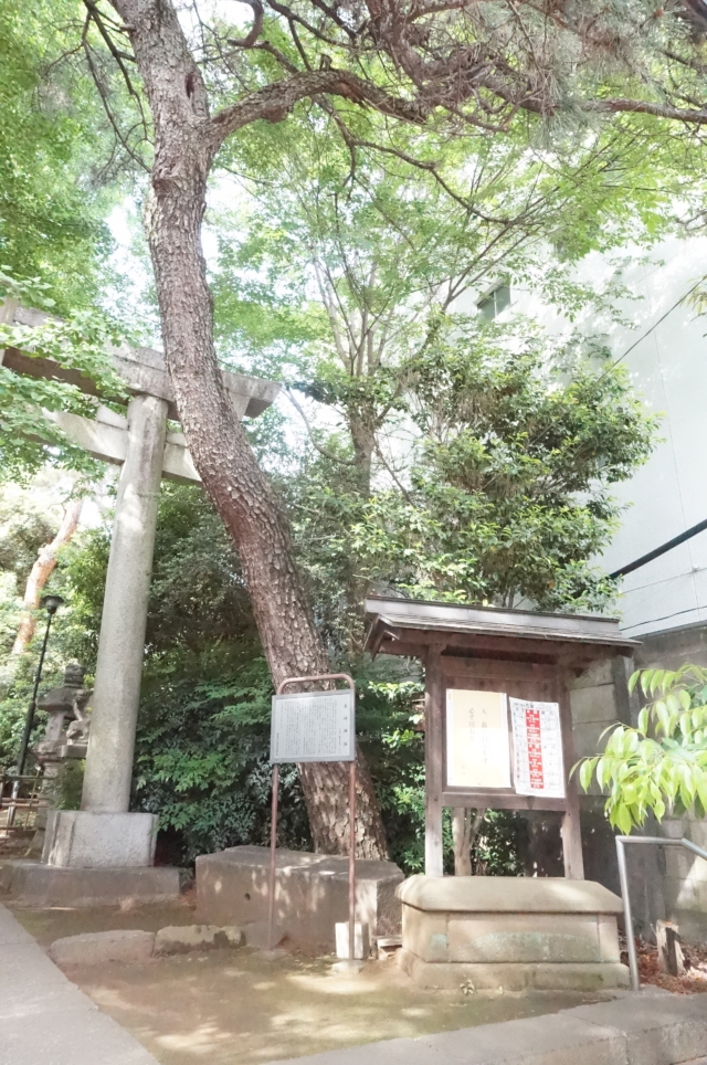 朱塗りの祠で感動のひと時【長崎不動尊】＠椎名町