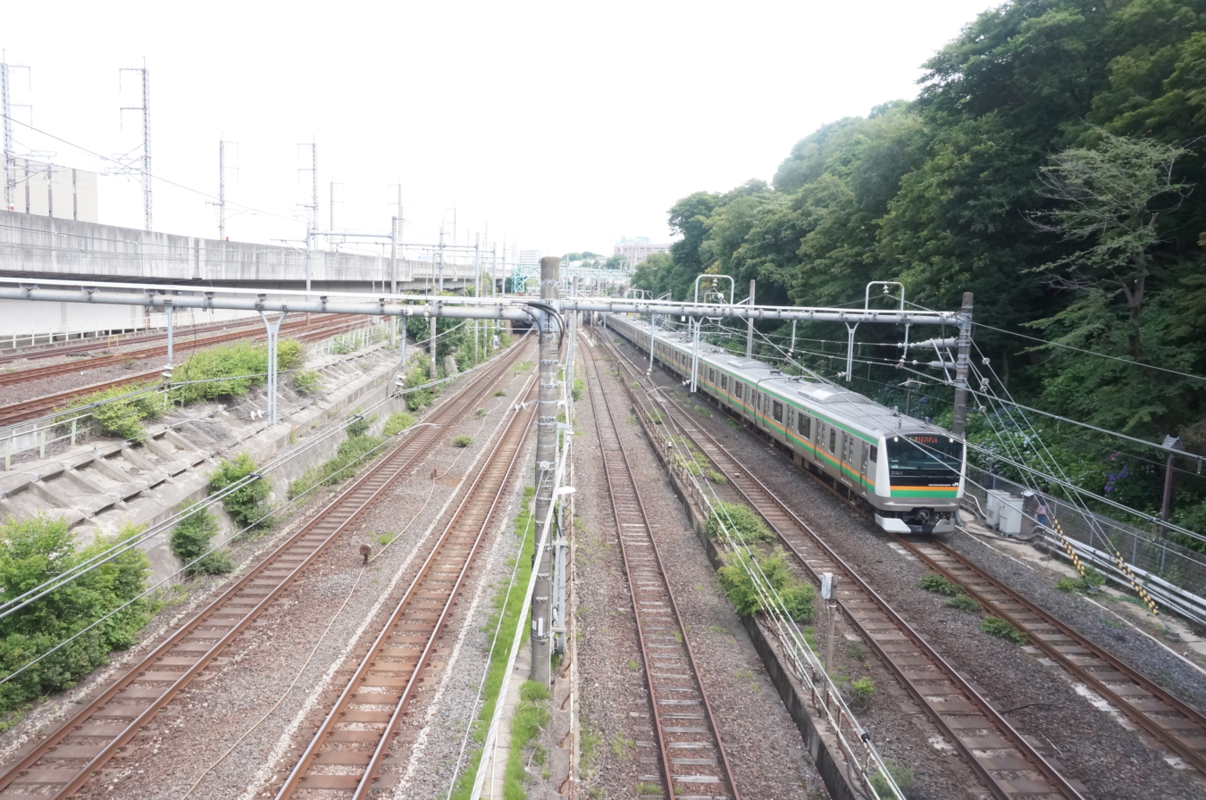 桜の名所でもあり・・電車好きの名所でもある公園！！☆飛鳥山公園☆