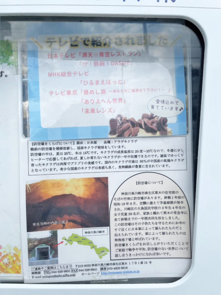 あなたの知らない麻生区：防空壕きくらげの秘密