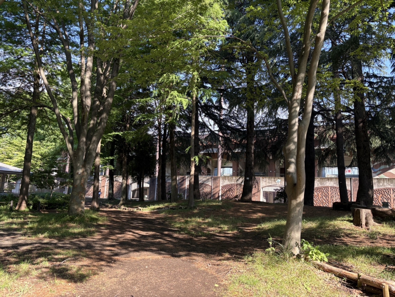 引地台公園【大和】