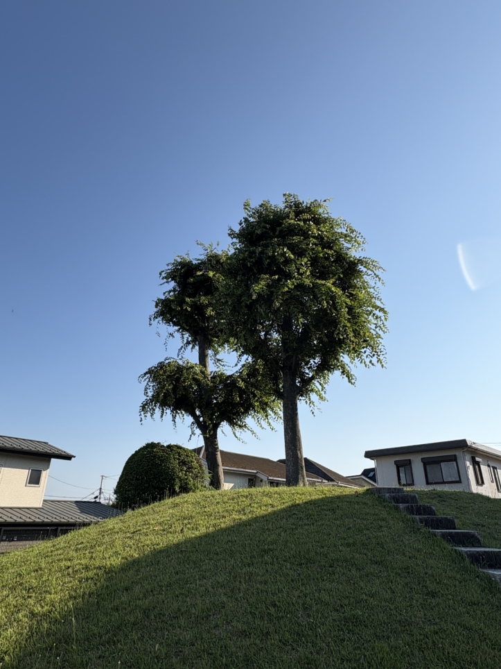 いにしえの日本に思いを馳せてみよう♪☆「高倉塚古墳」