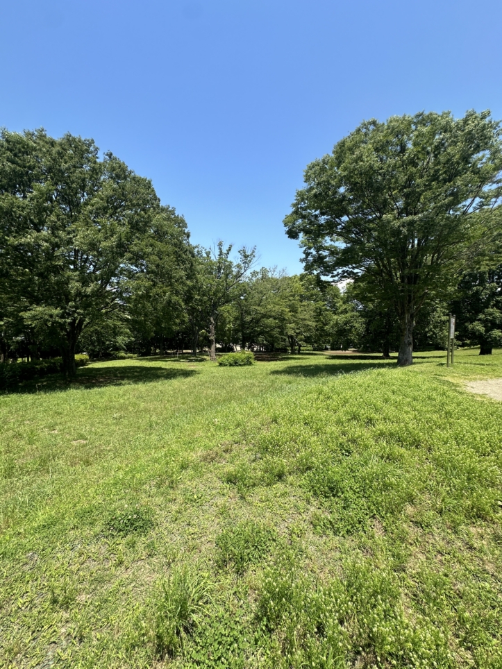 八王子市☆富士見台公園☆