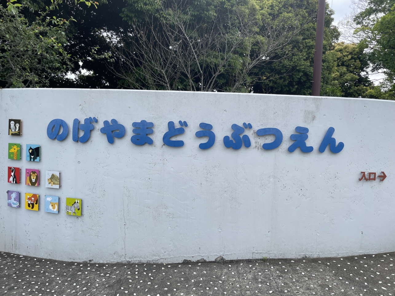 無料でレッサーパンダに会える(ﾟдﾟ)！【野毛山動物園】