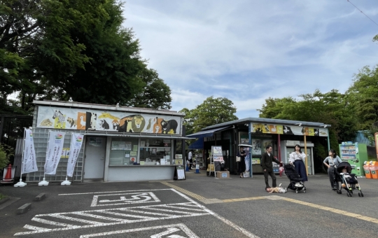 無料でレッサーパンダに会える(ﾟдﾟ)！【野毛山動物園】