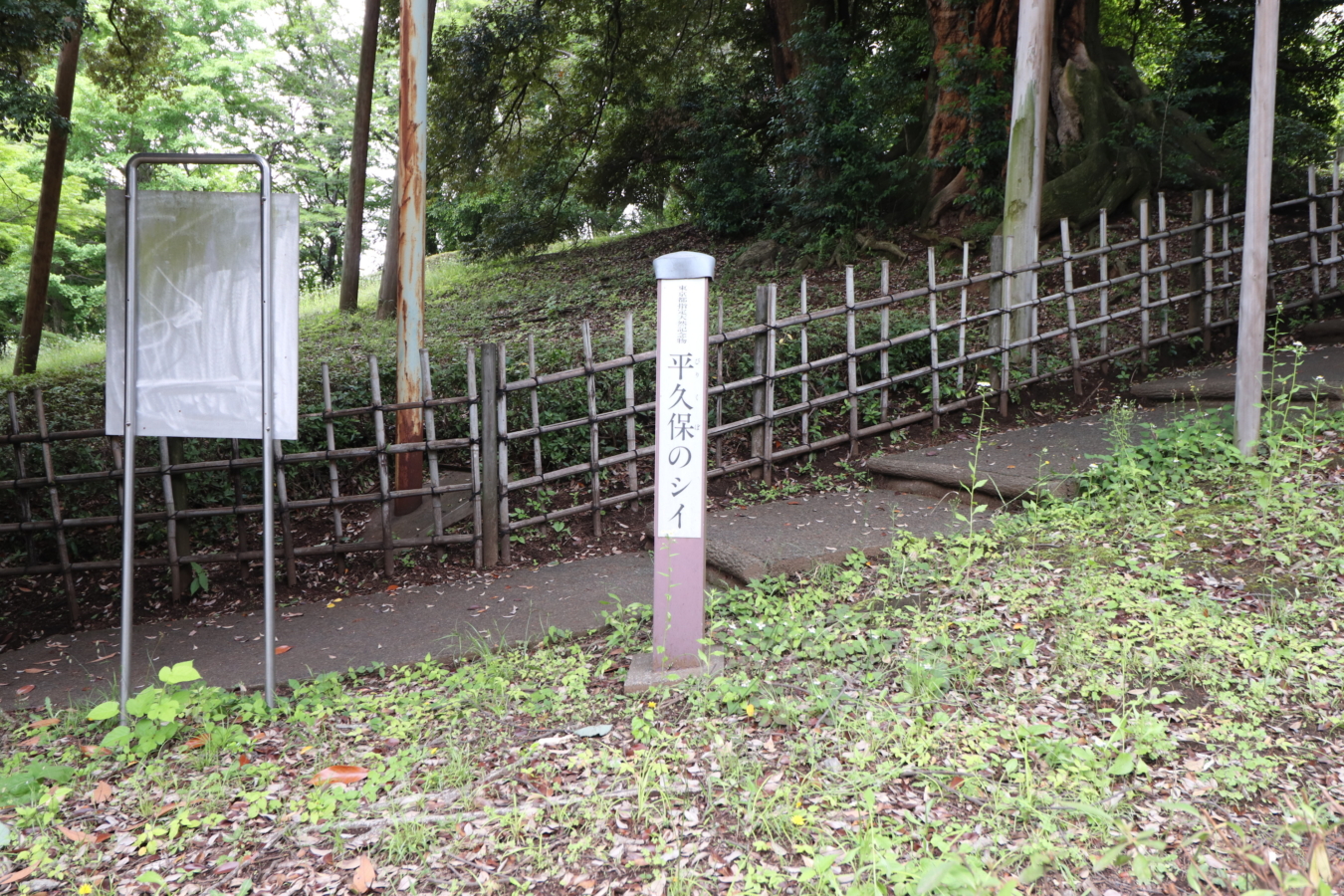 多摩の歴史見守る巨樹【平久保公園】