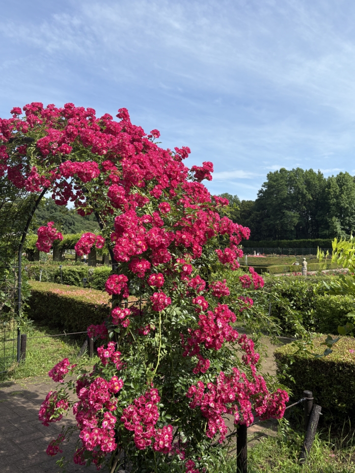 神代植物公園