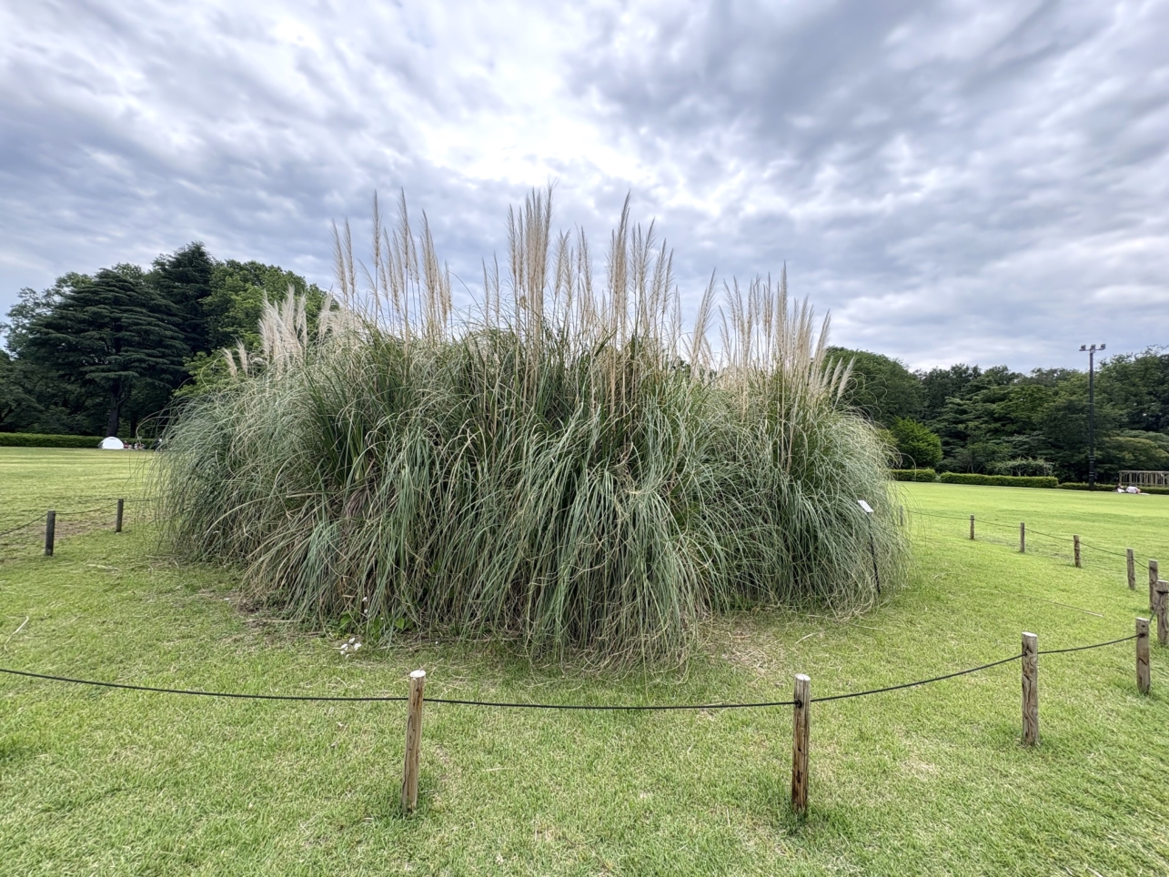 神代植物公園