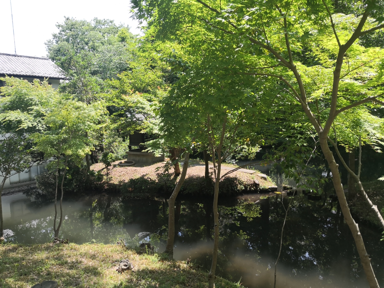 調布深大寺‼　50年に一度公開の秘仏を見てきました(^^♪