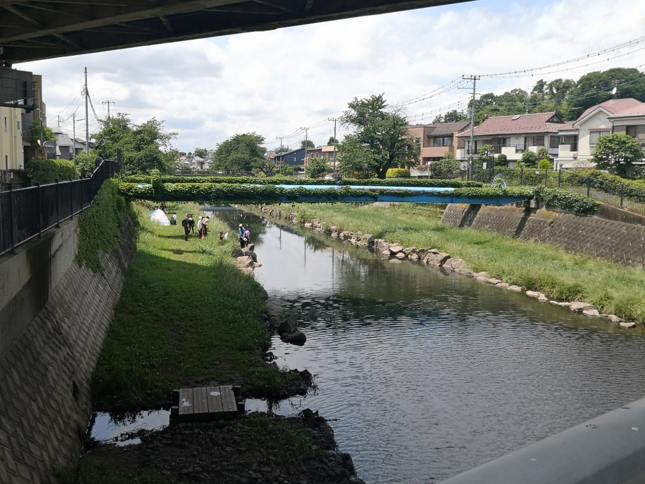自然の中、お散歩やバーベキュー♪♪野川