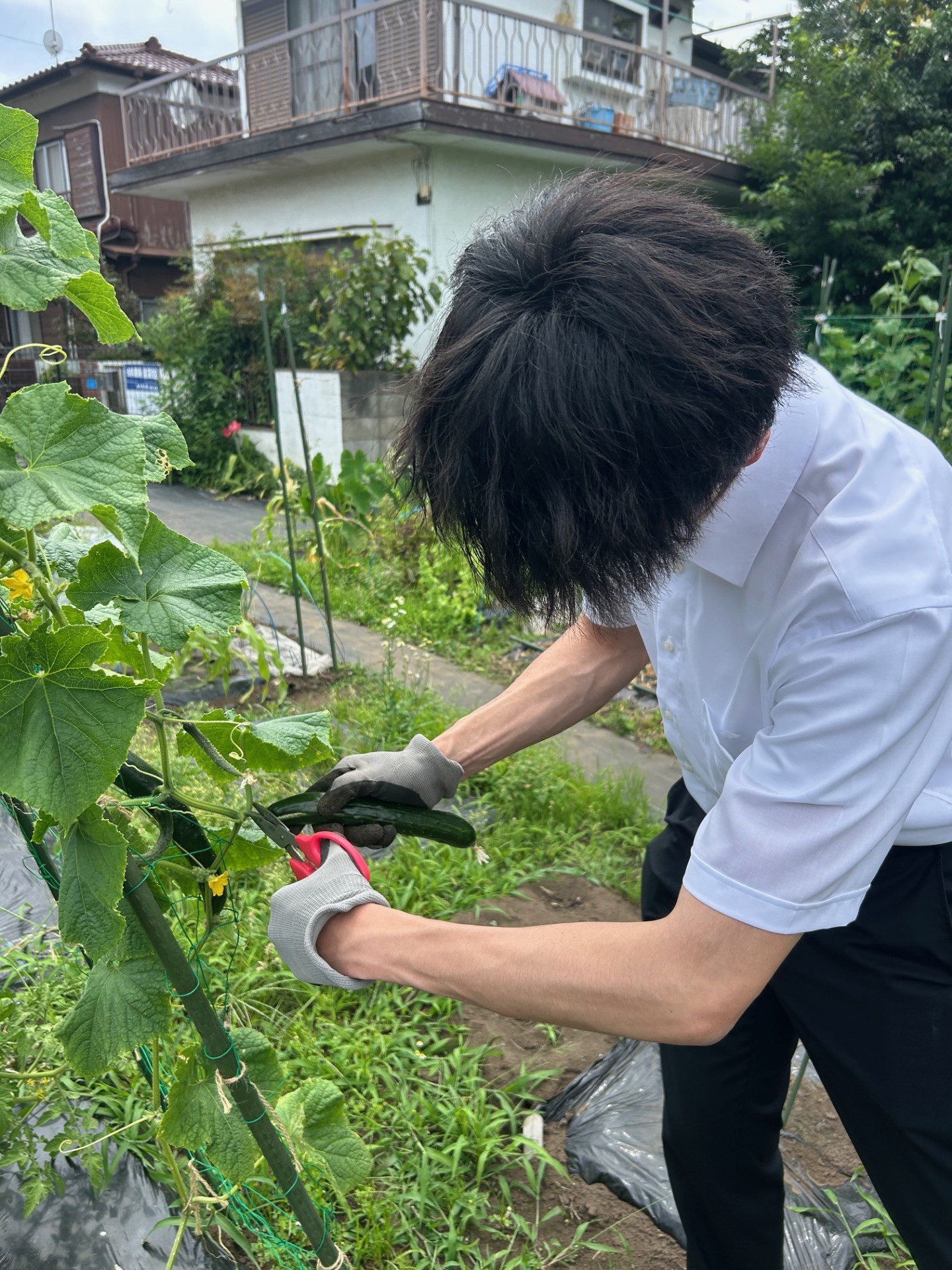 東都ファームすくすく成長中♬