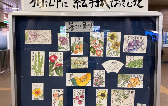 狛江市と絵手紙【狛江まるごと美術館】