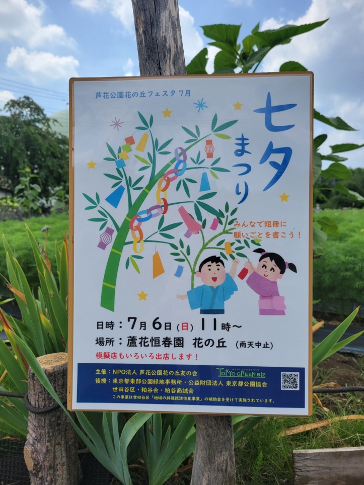 蘆花恒春園🎋【七夕まつり】