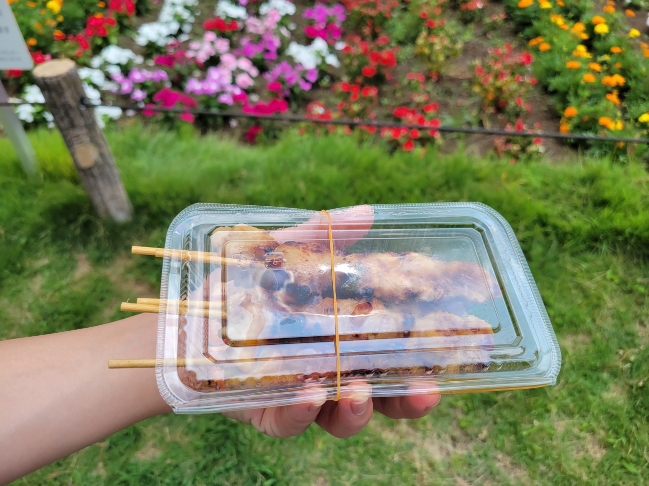 蘆花恒春園🎋【七夕まつり】