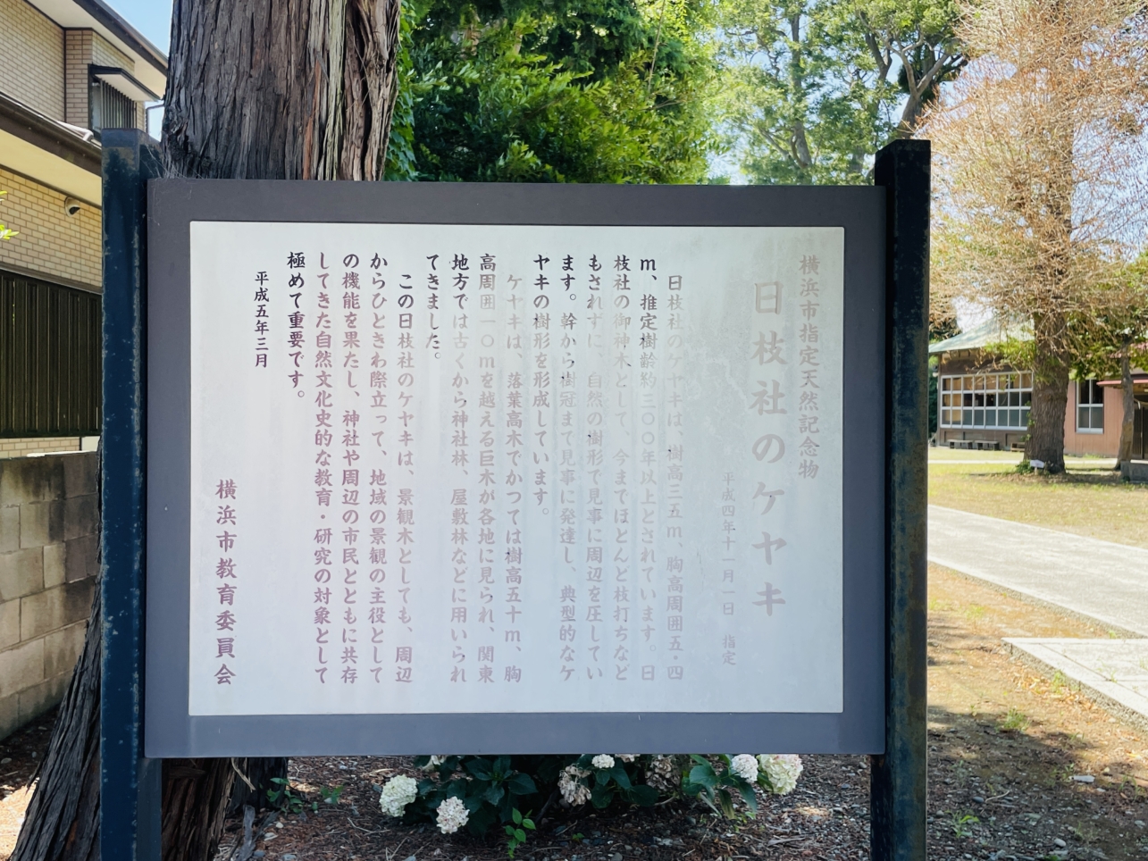 【瀬谷区】日枝神社